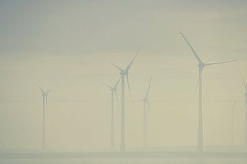 Le parc des moulins à vent sur Sharona de Wolf