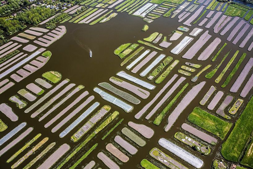 Photo aérienne des îles Oosterdel à Broek op Langedijk par Frans Lemmens