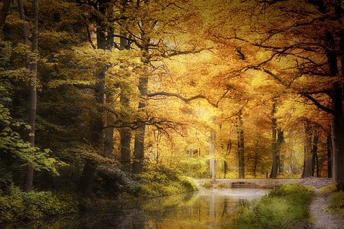 Is This The Real Life?