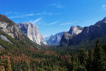 Yosemite National Park (USA) van Berg Photostore
