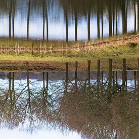 Reflections Upside down by Aiji Kley