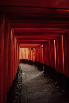 Spirituele Oase: De Betovering van Japanse Shrines van Sharon Kastelijns