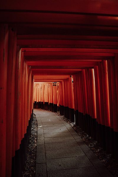 Spirituele Oase: De Betovering van Japanse Shrines van Sharon Kastelijns