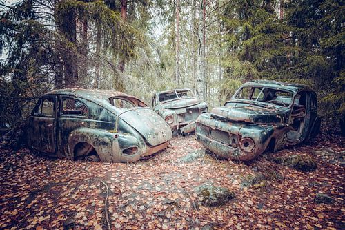 Roestige erfenissen in het bos - autokerkhof in Zweden