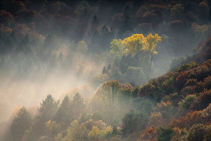 Glow in autumn by Olaf Karwisch
