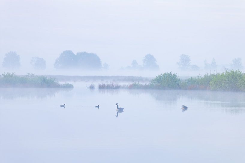 Sunrise Dwingelderveld (Netherlands) by Marcel Kerdijk