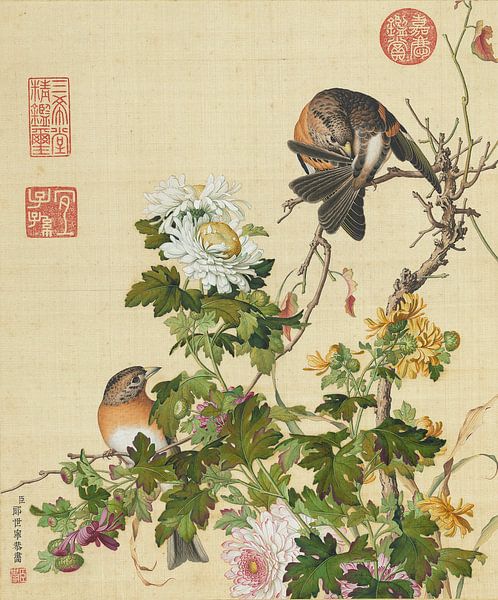 Chrysanthemums, Giuseppe Castiglione by Creative Masters Old Masters
