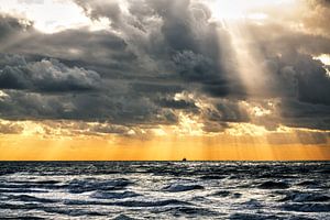 Sunshower