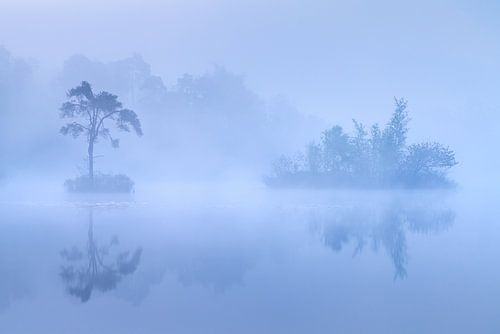 Dutch forests and ponds - Oisterwijk