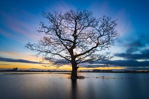 Plaines inondables IJssel lever de soleil sur Rick Kloekke