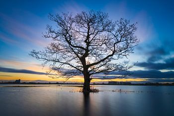Uiterwaarden IJssel zonsopkomst