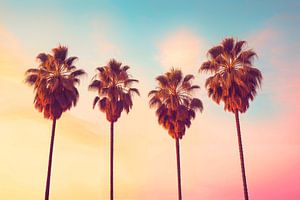 Sonnenuntergang in L.A.