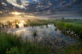 Beautiful Netherlands by René Pronk
