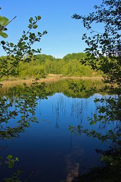 Blue skies and waters