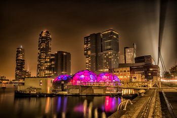 Een gouden skyline van de kop van Zuid in Rotterdam RawBird Photo's Wouter Putter