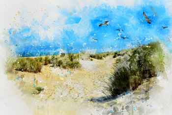 Nordsee - Küste
