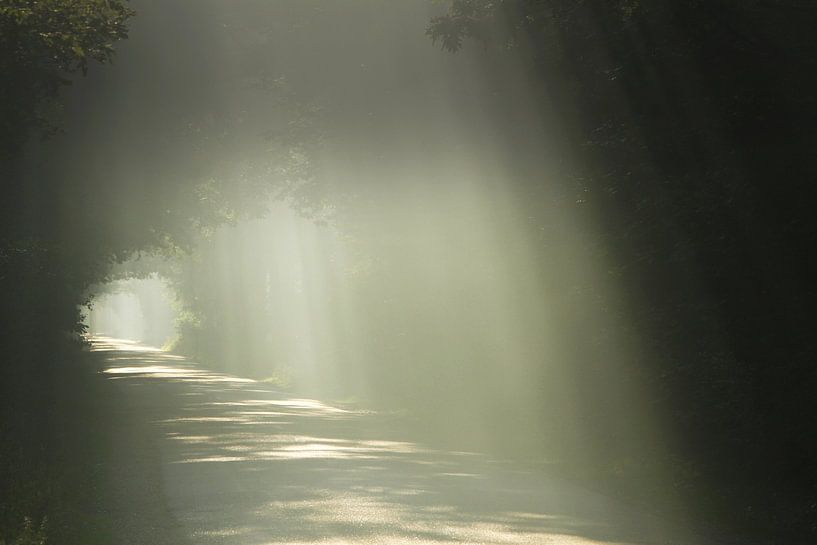Eine Straße mit Sonnenstrahlen gefüllt von Paul Wendels