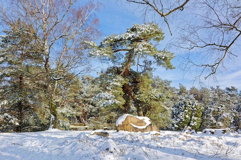 Winter at the Hermann Loens' grave by Gisela Scheffbuch