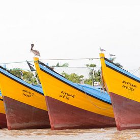 Fischerboote auf dem Fluss Suriname von rene marcel originals