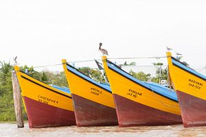 Fischerboote auf dem Fluss Suriname