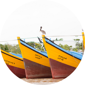 Vissersboten op de Surinamerivier van rene marcel originals