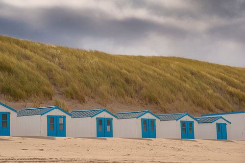 Beach houses Texel