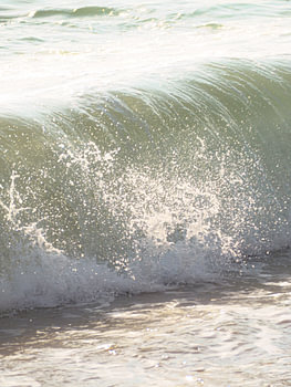 Fresh wave