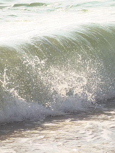 Fresh wave