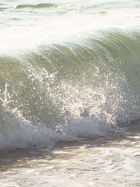 Frische Welle von Studio Patruschka