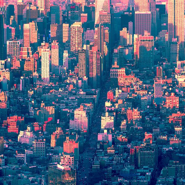 Metropolis Marvel Ic van Caroline Boogaard