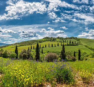 Val d'Orcia, Castelluccio, Toscane, Italie sur Rene van der Meer