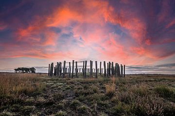 Regte Heide by MaxDijk Fotografie shop