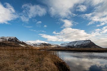 Landschap van IJsland van Leon Eikenaar