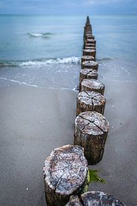 Alte Buhnen am Strand in Zingst