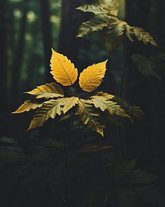 Blätter im Herbst