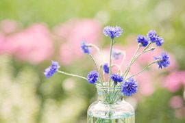 Blauwe Kornblume von Ellen Hylkema