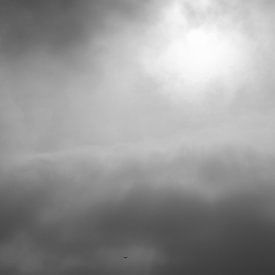 Mill | A beautiful silhouette of a mill in a threatening sky by Wil Vervenne