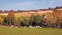 Lemiers (Nederland) & Orsbach (Duitsland) van Rob Boon thumbnail