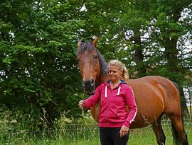 Trakehner Feldmeyer mit Besitzerin  auf der Weide