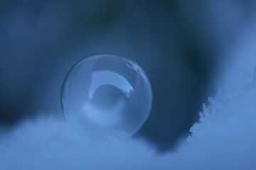 Bevroren bubbel van Miranda Fotografie Gemert