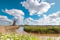 Dutch Mill