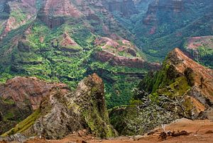 Waimea Canyon - Kauaʻi / Hawaii