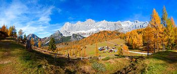 Panorama automnal sur l'alpage de Neustattalm et les montagnes du Dachstein
