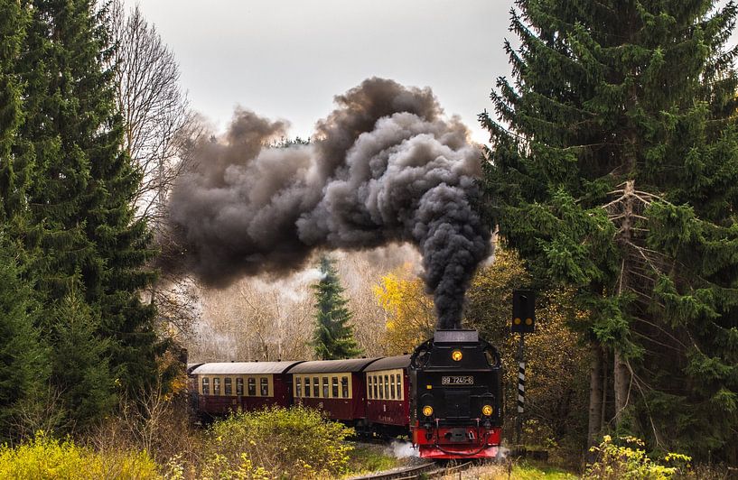 HSB 99 7245 Harzquerbahn von Marcel Timmer