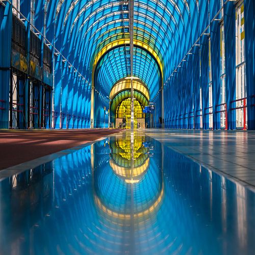 Nelson Mandelabrug in zoetermeer is een fiets- en voetgangersbrug - Nederland