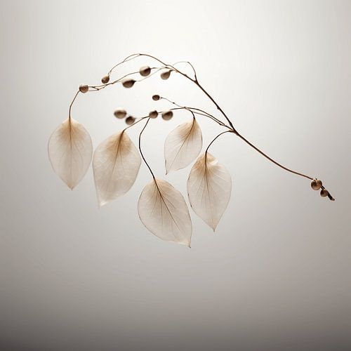 Dried Seeds in the Wind of Memories - Lost Secrets