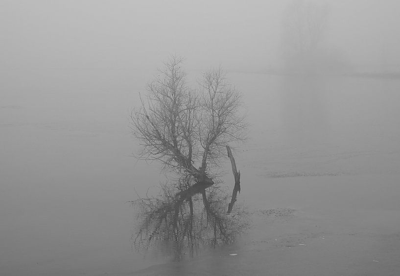 Bush in high water in black and white. by Jose Lok