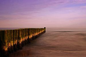 Buhnen am Meer im Sonnenuntergang