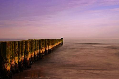 Groynes by the sea at sunset