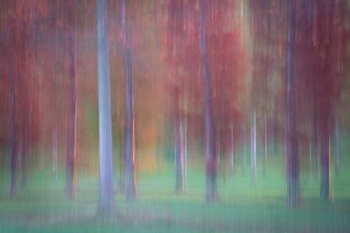 Résumé du verger 1